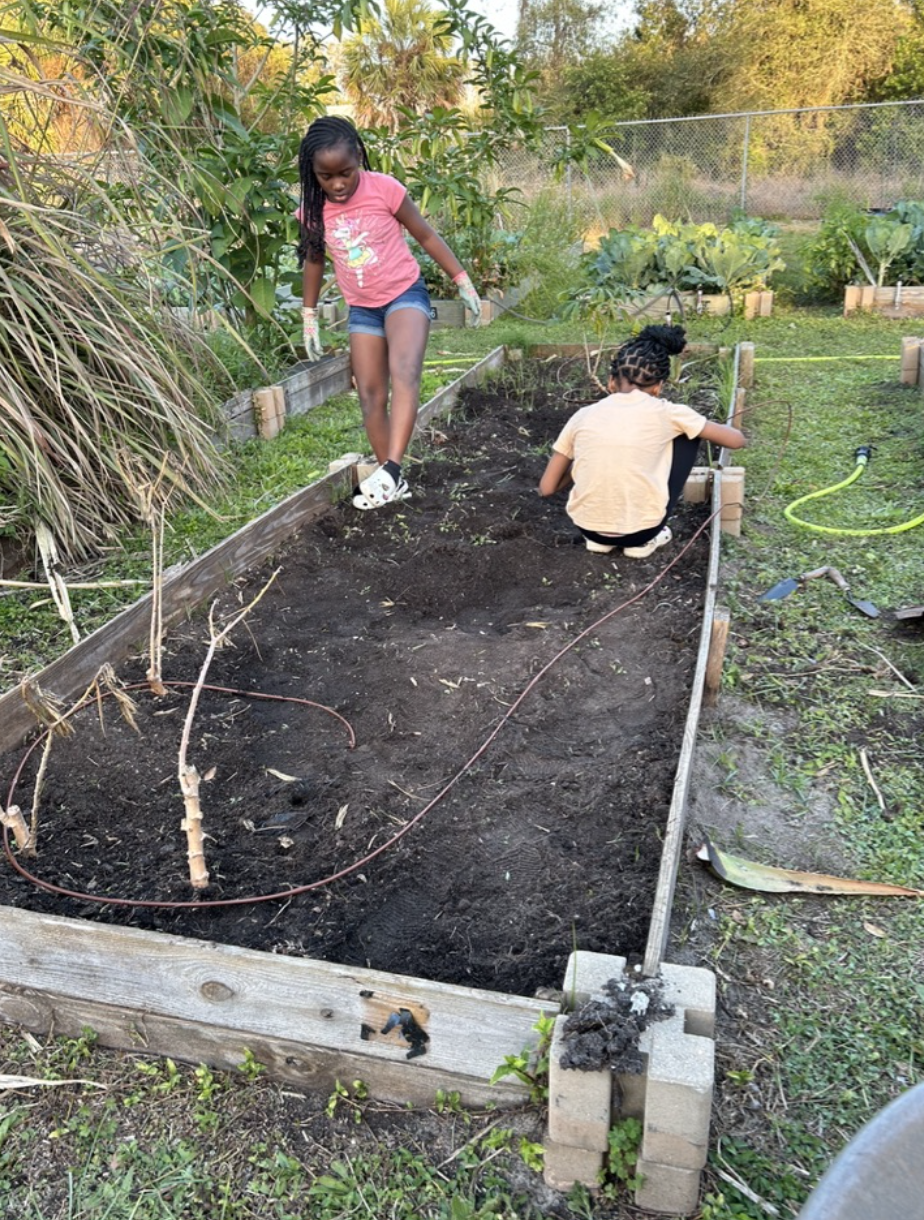 Garden Construction